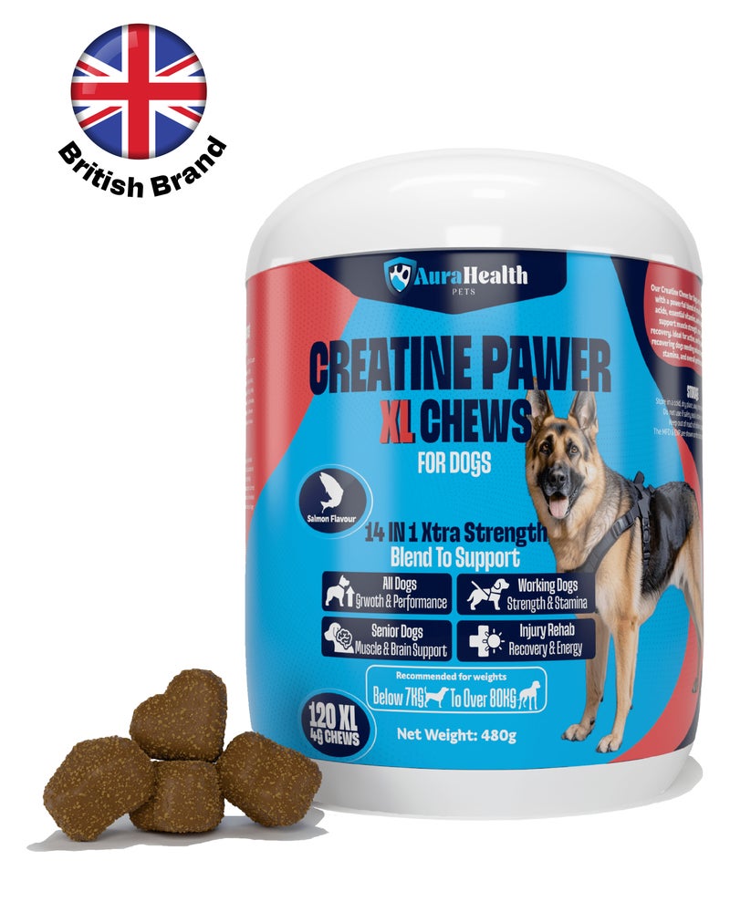 AuraHealth Pets CREATINE PAWER 120 XL Chews up to 4-month supply for Working, Senior, & Injured Dogs 14-in-1 XtraStrength: Creatine, L-Carnitine & Taurine. Muscles, Performance, Energy & Recovery, Salmon Flavour - Image 1